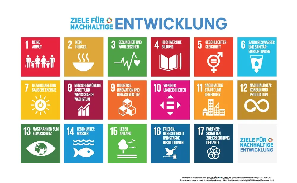 Sustainable Development Goals (SDGs)